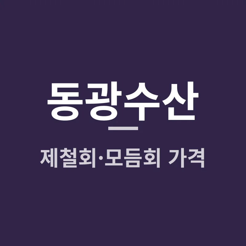 동광수산 2026 제철회·모듬회 가격, 중마시장·양동시장 어디가 가성비갑인지 내돈내산 후기