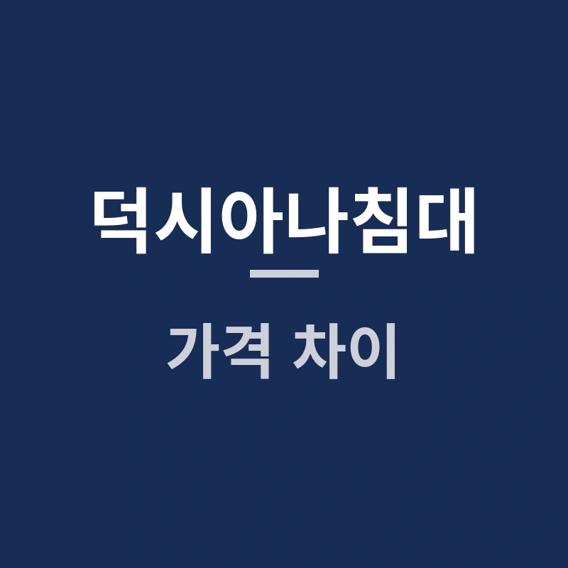 덕시아나침대 가격 차이, 모델별 특징과 추천 기준 총정리