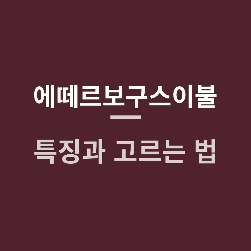 에떼르보구스이불 특징과 고르는 법, 포근함의 차이는?