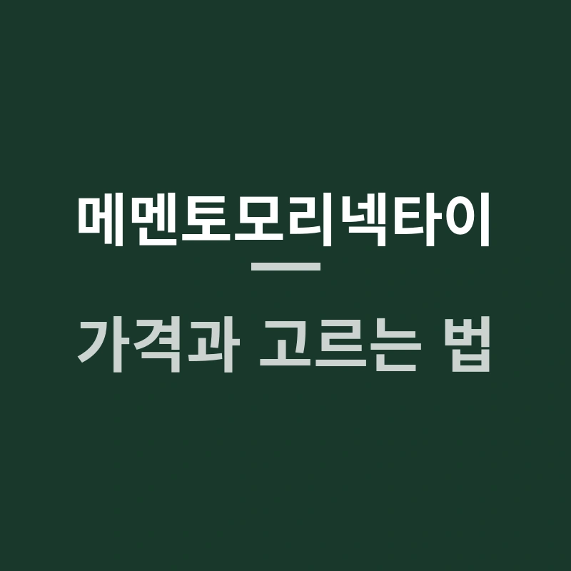 메멘토모리넥타이 후기부터 가격·추천·사용법까지 한눈에 보기