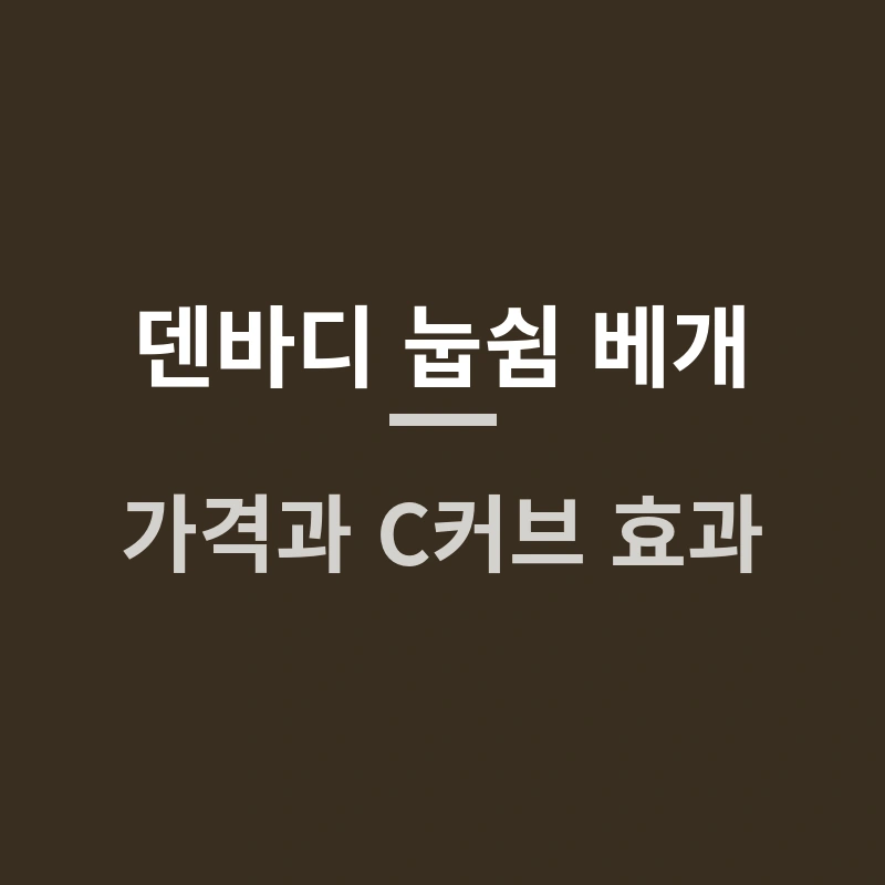 덴바디 눕쉼 베개(denbody) 가격과 C커브 효과, 장단점 정리
