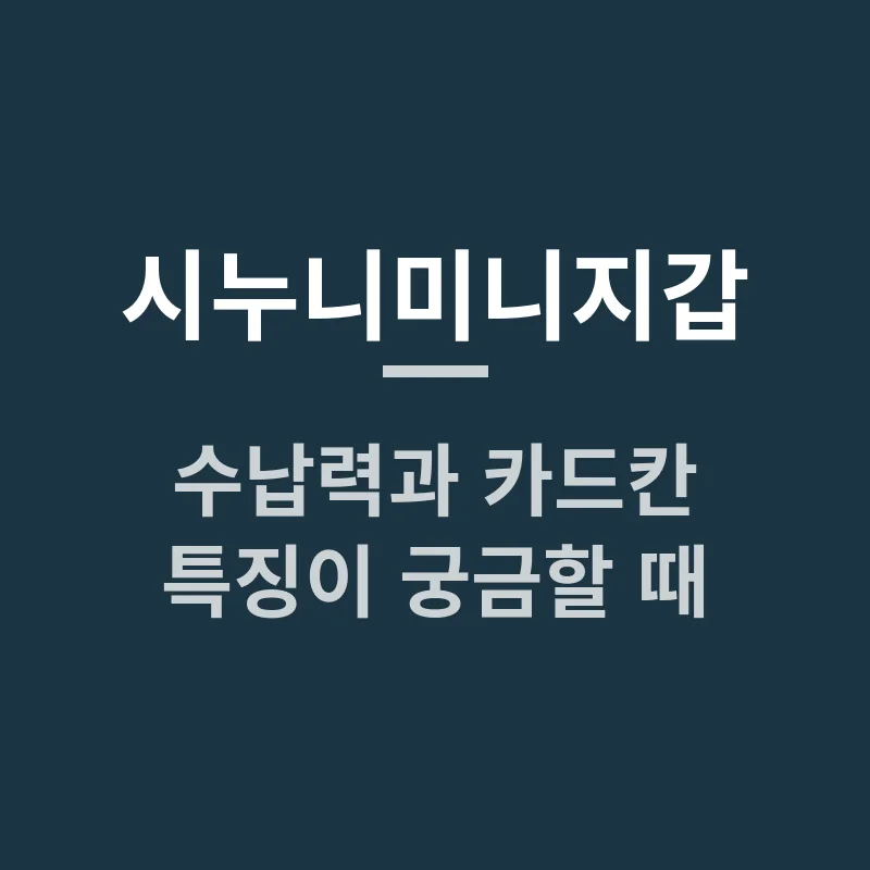시누니미니지갑 수납력과 카드칸 특징이 궁금할 때
