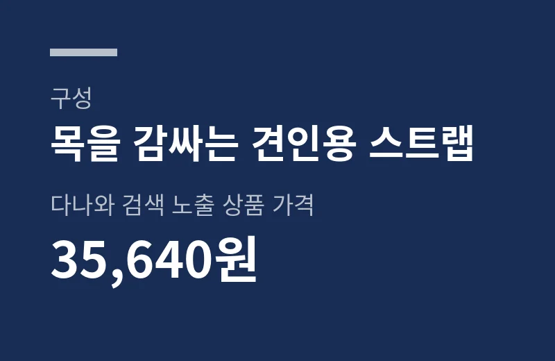 현수식경추견인장치