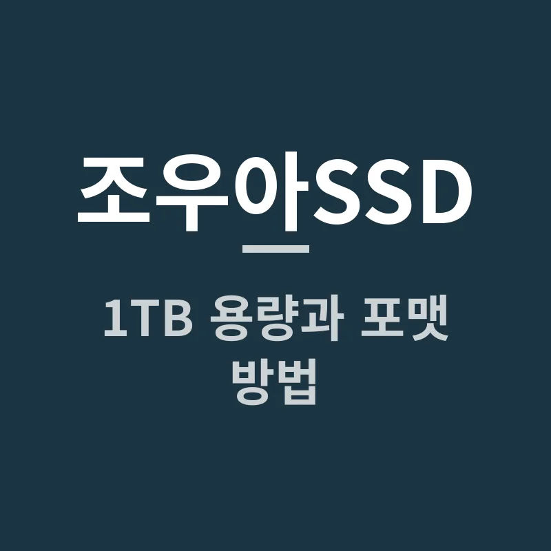 조우아SSD 1TB 용량과 포맷 방법, 테슬라 블랙박스에 충분할까요?