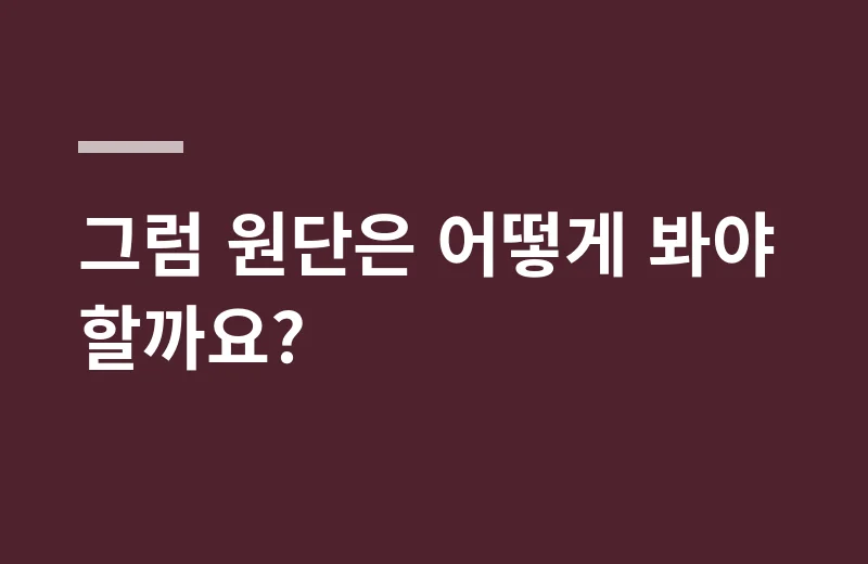 디디댄스복 고르는 기준