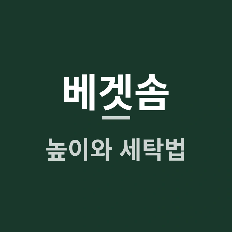 베겟솜