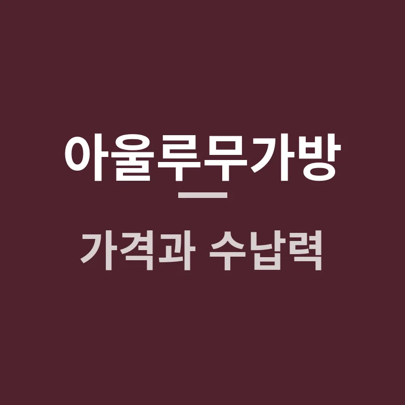 아울루무가방 가격과 수납력, B01과 B02 중 뭐가 맞을까요?