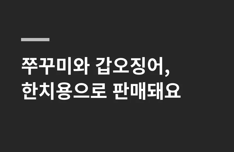 나올셀타에기 핵심 정리: 쭈꾸미와 갑오징어, 한치용으로 판매돼요