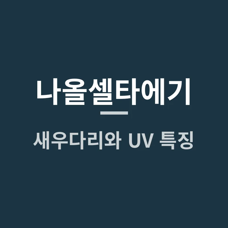 나올셀타에기