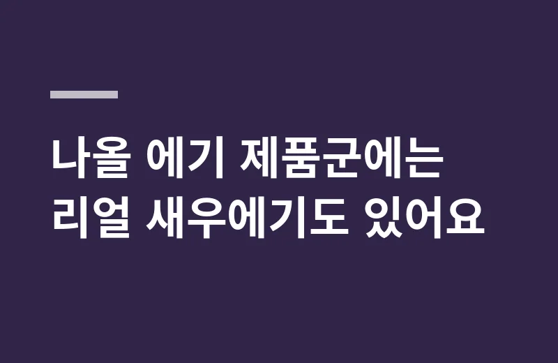 나올셀타에기 핵심 정리: 나올 에기 제품군에는 리얼 새우에기도 있어요