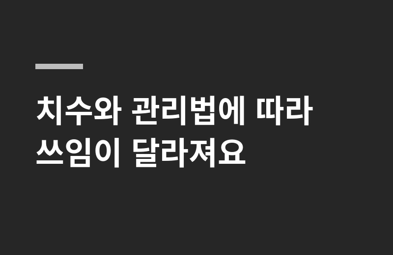 바이칸롱초슬림 핵심 정리: 치수와 관리법에 따라 쓰임이 달라져요