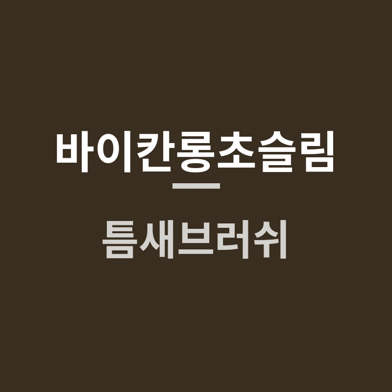 바이칸롱초슬림 틈새브러쉬, 방충망 청소에도 괜찮을까요?