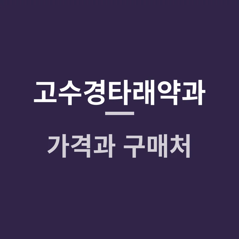 고수경타래약과 가격과 구매처, 전라도식 꼬임에 담긴 비밀