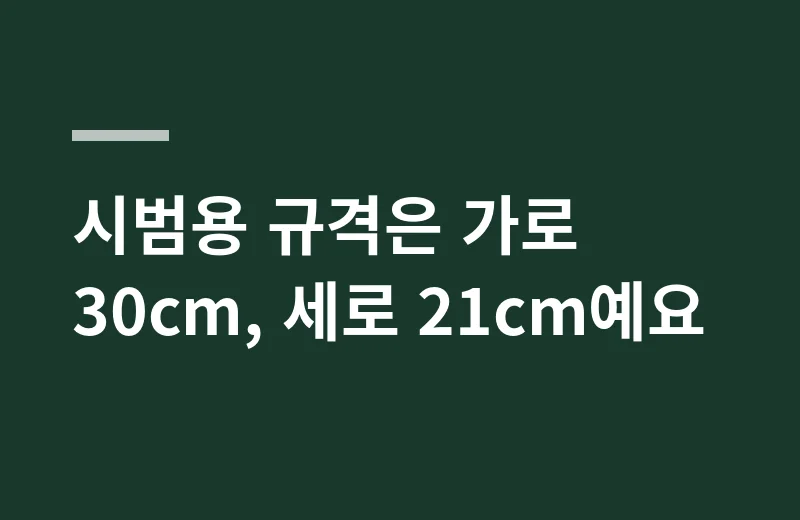 세아송판 핵심 정리: 시범용 규격은 가로 30cm, 세로 21cm예요