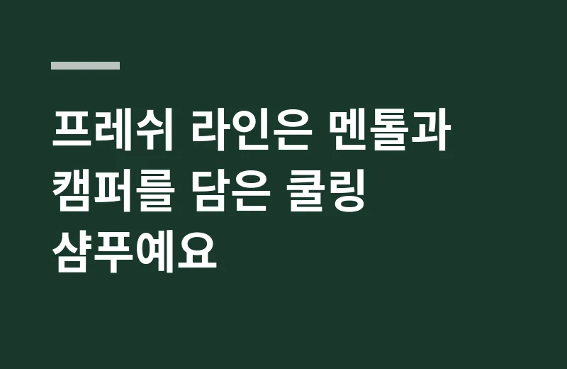 히스테모샴푸 핵심 정리: 프레쉬 라인은 멘톨과 캠퍼를 담은 쿨링 샴푸예요