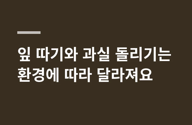 만홍사과묘목 핵심 정리: 잎 따기와 과실 돌리기는 환경에 따라 달라져요