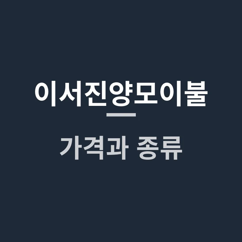 이서진양모이불 가격과 종류, 내게 맞는 제품은 무엇일까요?